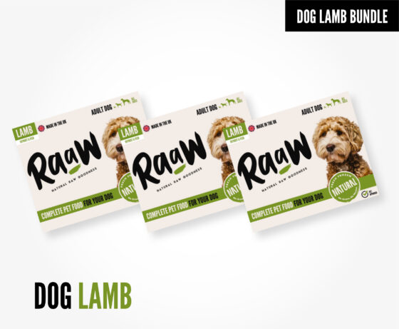 RaaW Lamb Bulk Box for Working Dogs (9.6kg)