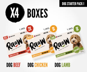 Dog Starter Pack 1 – x4 Boxes