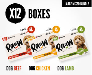 Large Mixed Bundle – x12 boxes
